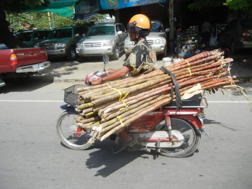 Sugarcane on a motorcycle